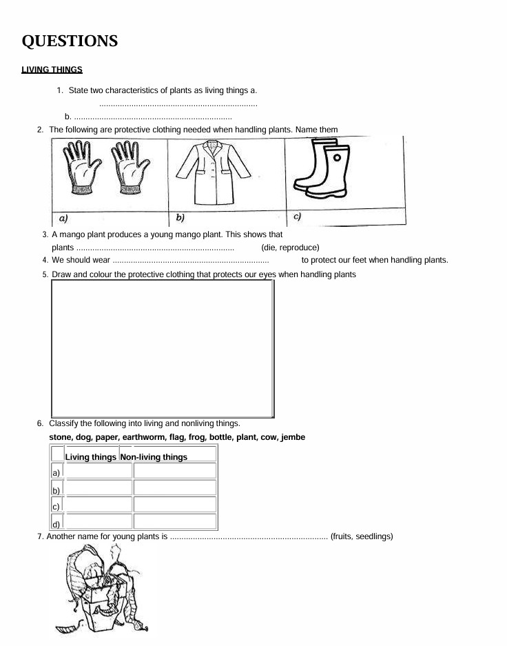 No preview available